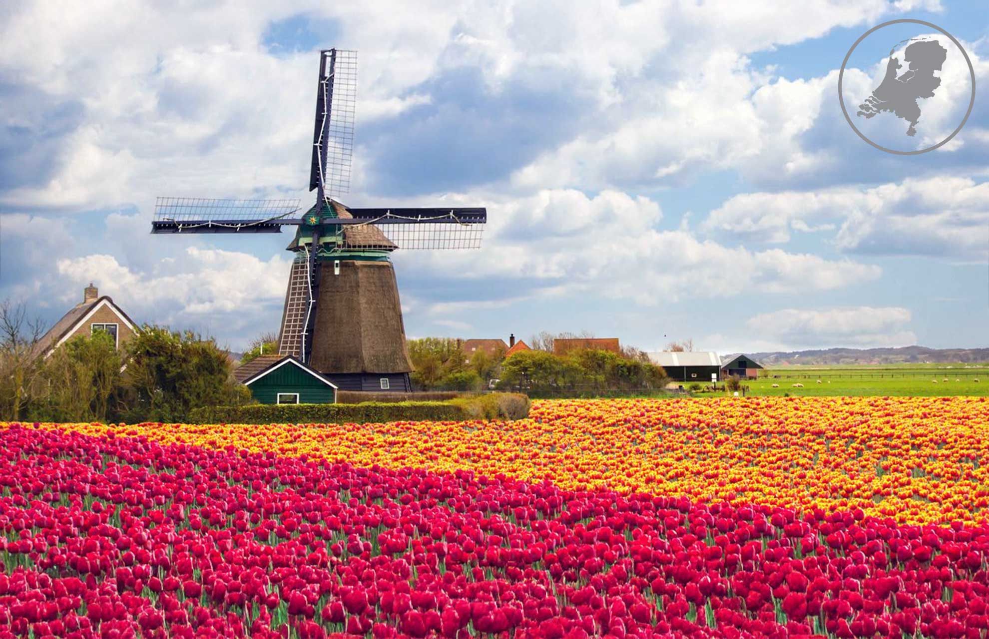 Netherlands canal architecture representing Dutch BV holding companies