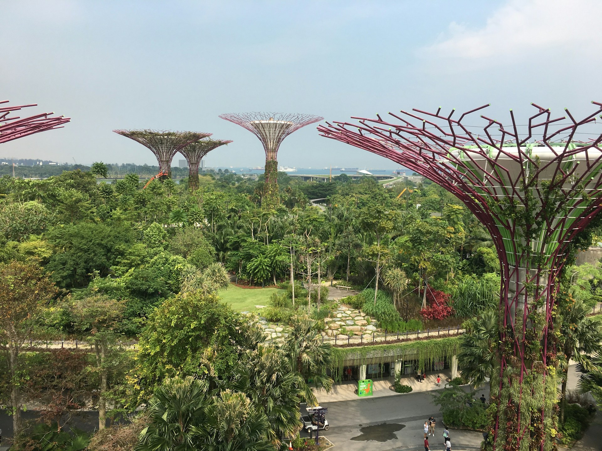 Singapore Gardens by the Bay supertrees