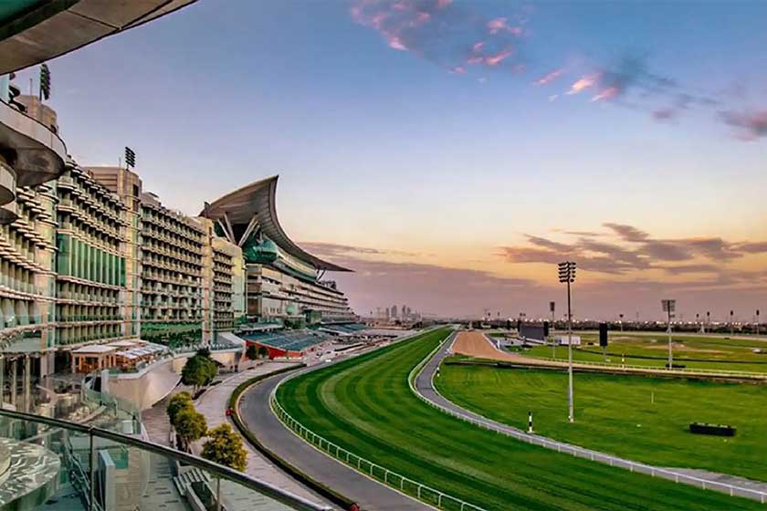 Modern office professional working on laptop representing Meydan free zone consultants and SMEs